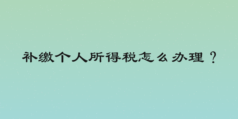 补缴个人所得税怎么办理？