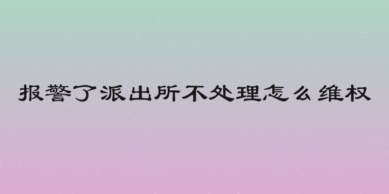 报警了派出所不处理怎么维权