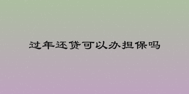 过年还贷可以办担保吗
