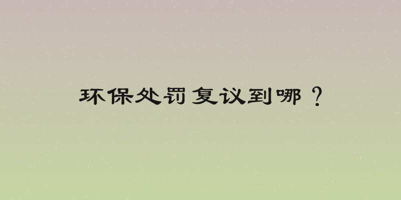 环保处罚复议到哪？