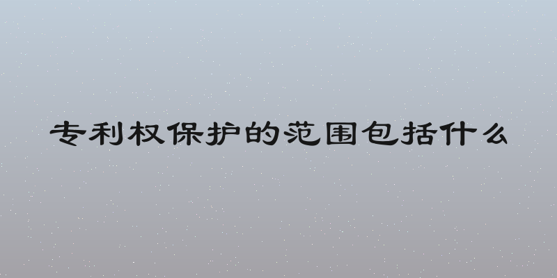 专利权保护的范围包括什么