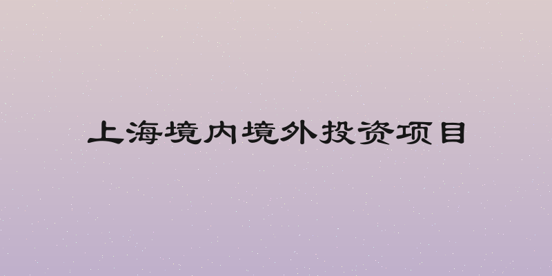上海境内境外投资项目