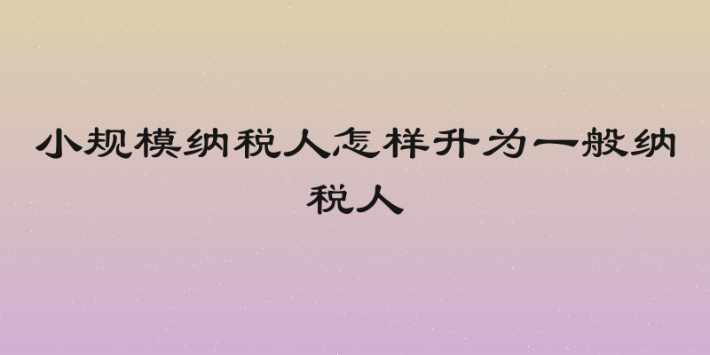 小规模纳税人怎样升为一般纳税人