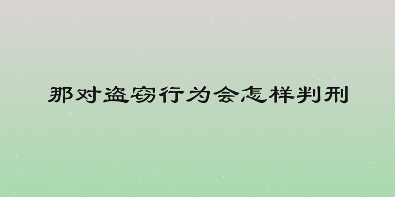 那对盗窃行为会怎样判刑