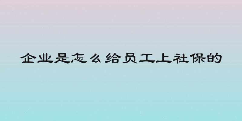 企业是怎么给员工上社保的