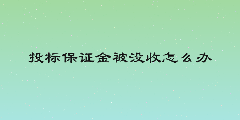 投标保证金被没收怎么办