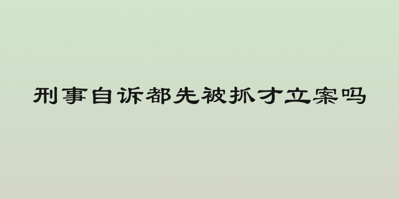 刑事自诉都先被抓才立案吗