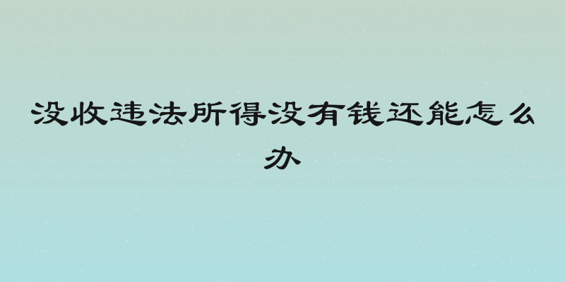 没收违法所得没有钱还能怎么办