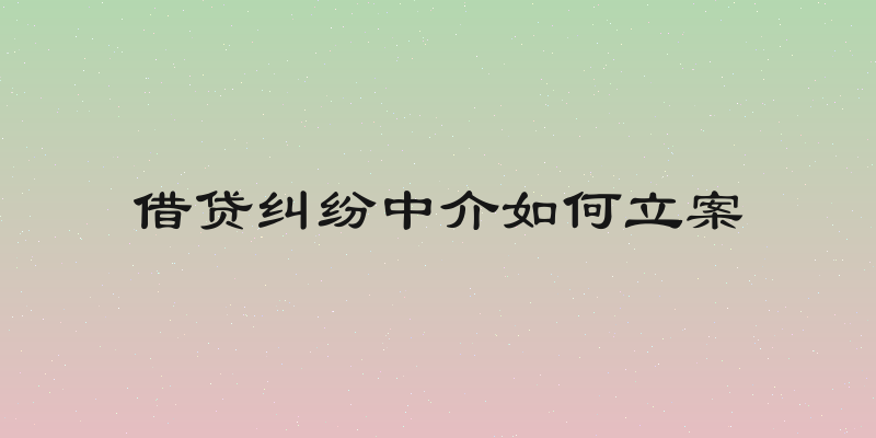 借贷纠纷中介如何立案