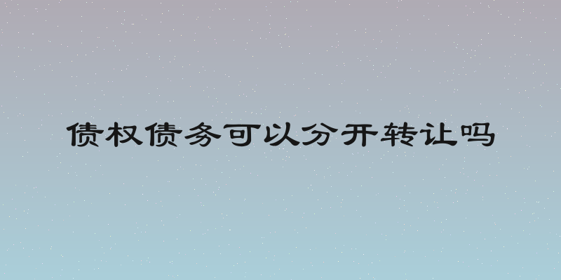 债权债务可以分开转让吗