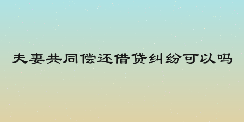夫妻共同偿还借贷纠纷可以吗