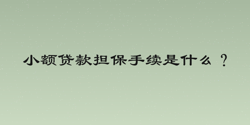 小额贷款担保手续是什么？