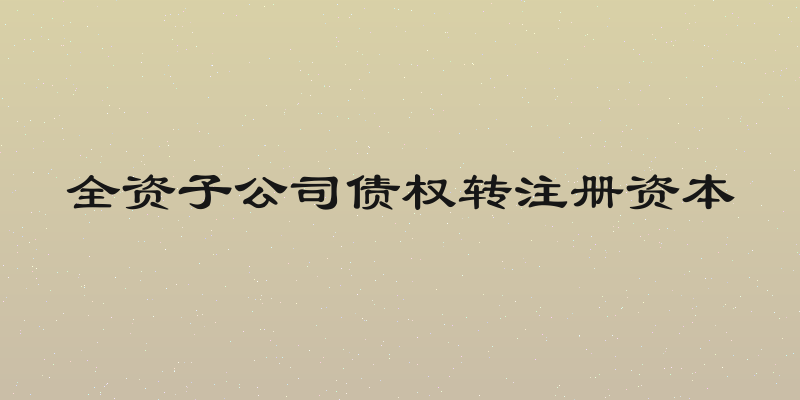 全资子公司债权转注册资本