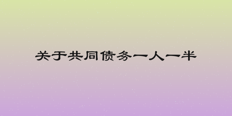 关于共同债务一人一半