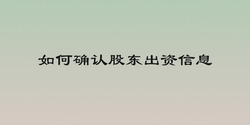 如何确认股东出资信息