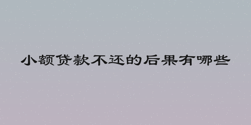 小额贷款不还的后果有哪些