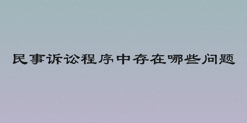 民事诉讼程序中存在哪些问题