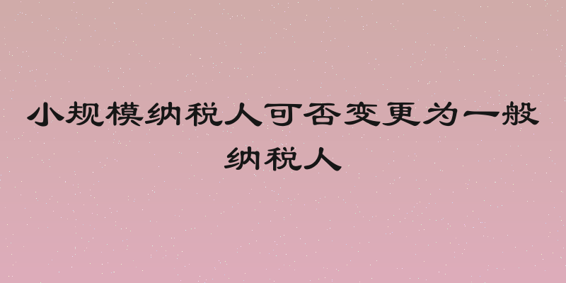 小规模纳税人可否变更为一般纳税人