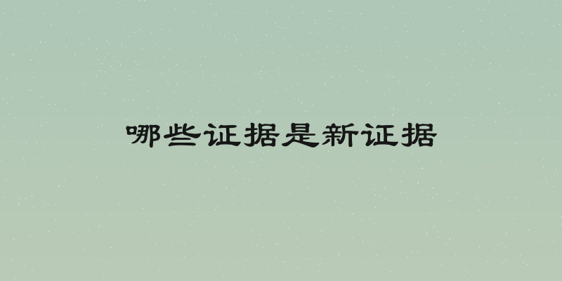哪些证据是新证据
