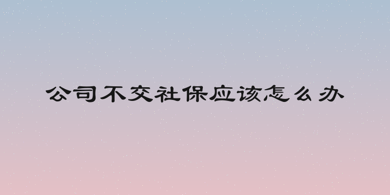 公司不交社保应该怎么办