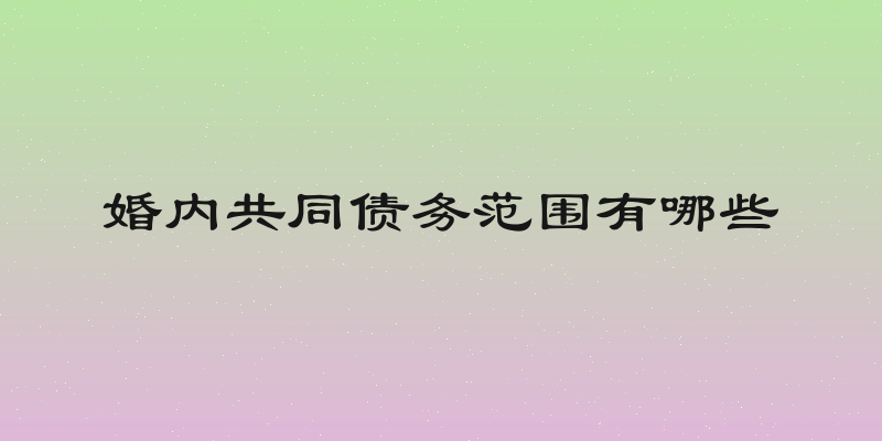 婚内共同债务范围有哪些