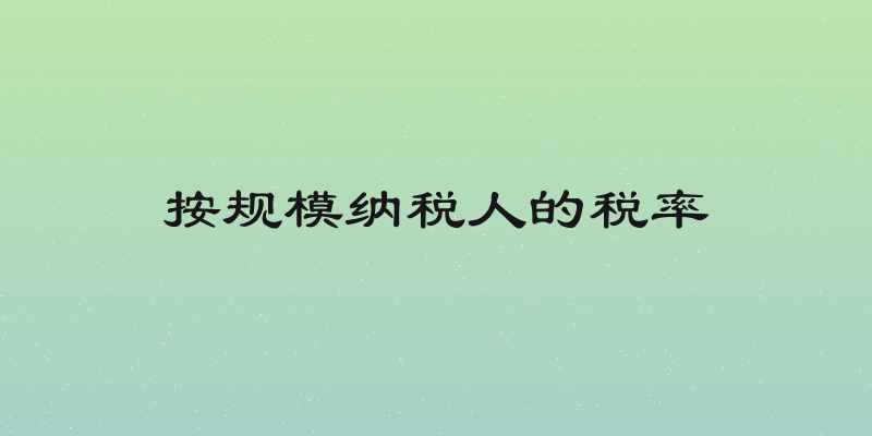 按规模纳税人的税率