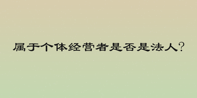 属于个体经营者是否是法人?