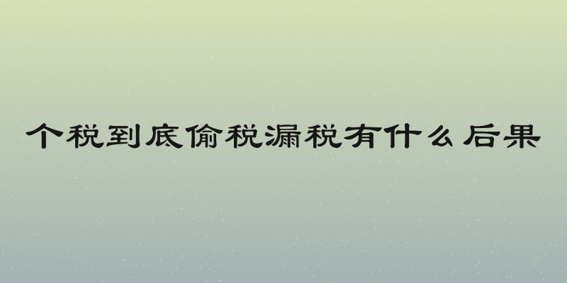 个税到底偷税漏税有什么后果