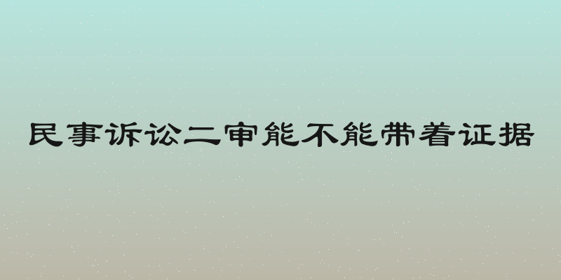 民事诉讼二审能不能带着证据