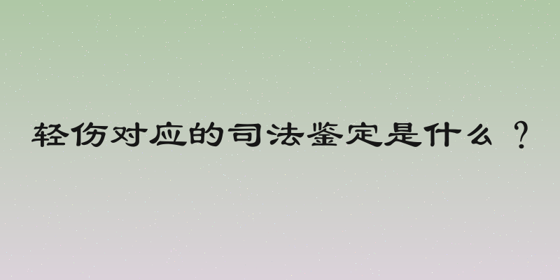 轻伤对应的司法鉴定是什么？
