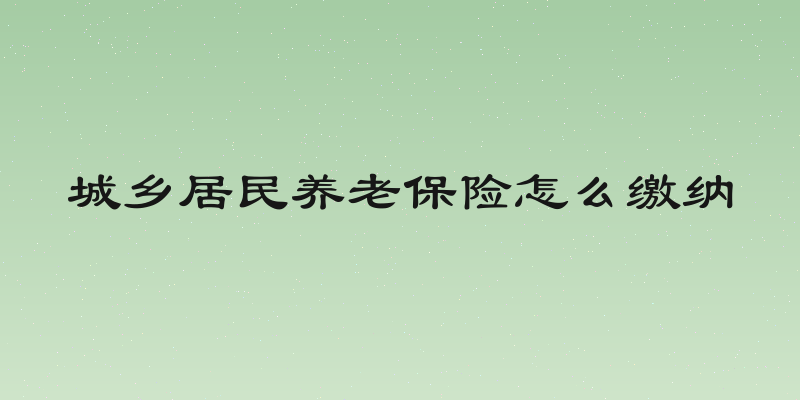 城乡居民养老保险怎么缴纳