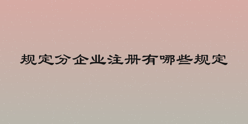 规定分企业注册有哪些规定