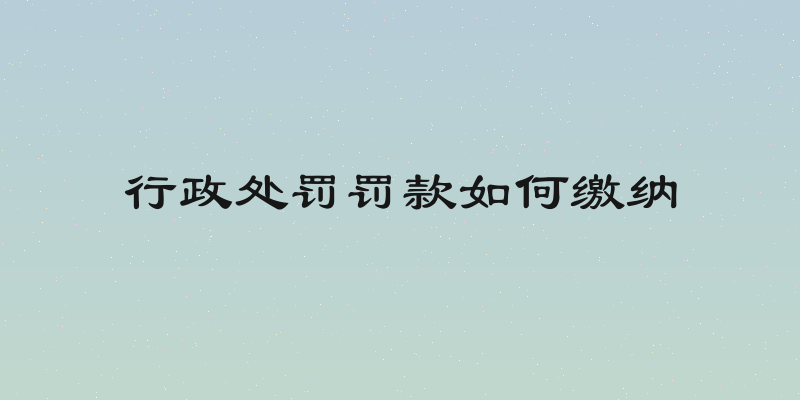 行政处罚罚款如何缴纳