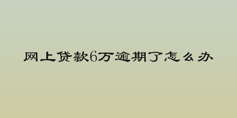 网上贷款6万逾期了怎么办