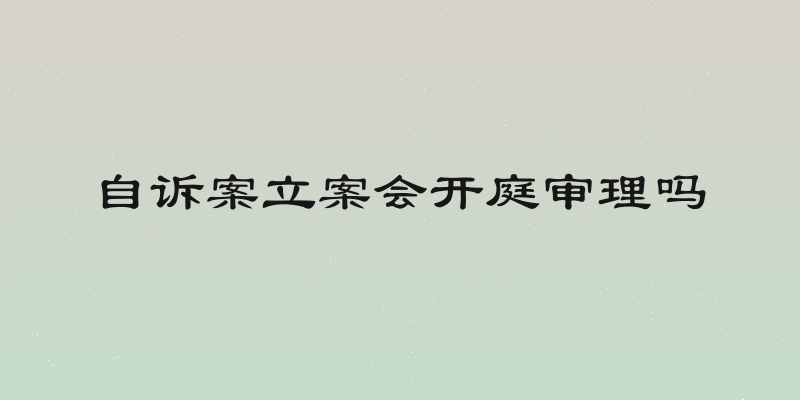 自诉案立案会开庭审理吗