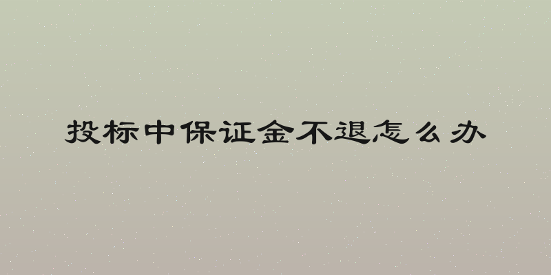 投标中保证金不退怎么办