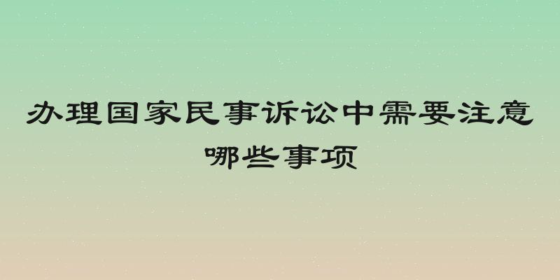 办理国家民事诉讼中需要注意哪些事项