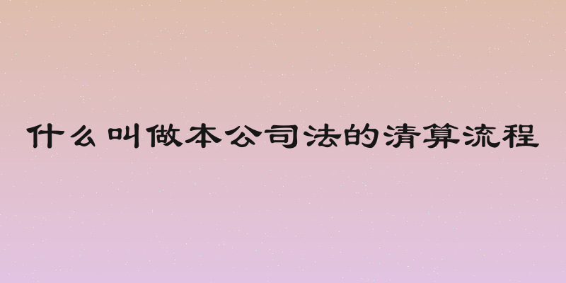 什么叫做本公司法的清算流程
