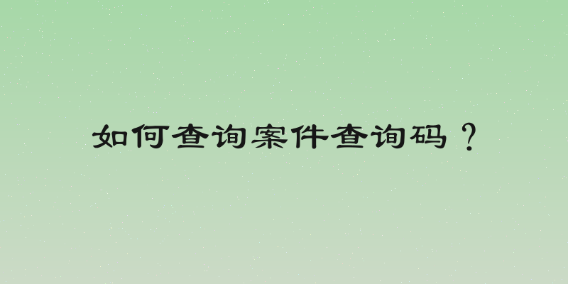 如何查询案件查询码？