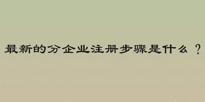 最新的分企业注册步骤是什么？