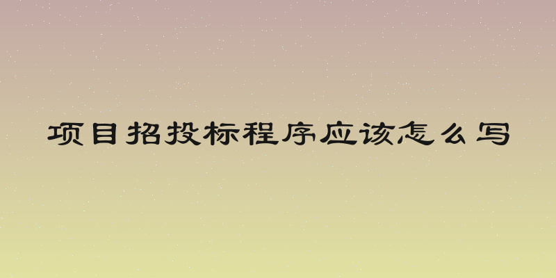 项目招投标程序应该怎么写