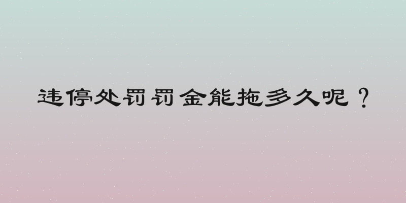 违停处罚罚金能拖多久呢？