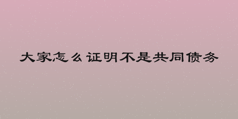 大家怎么证明不是共同债务