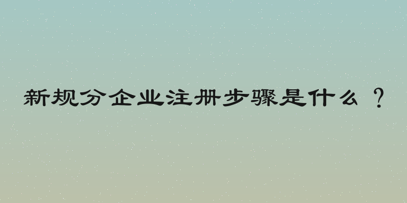新规分企业注册步骤是什么？