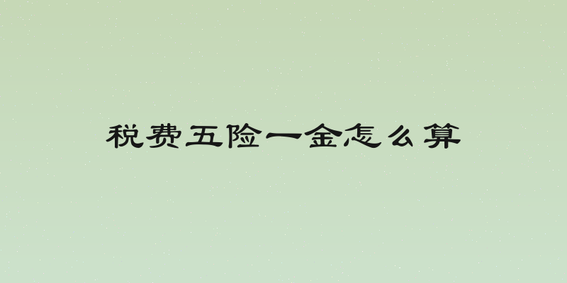 税费五险一金怎么算