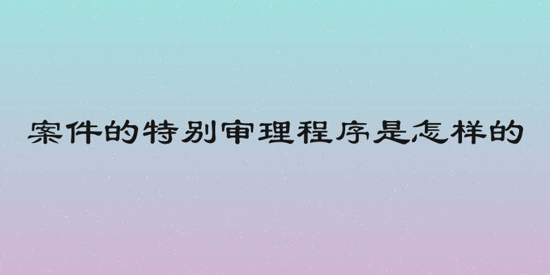 案件的特别审理程序是怎样的