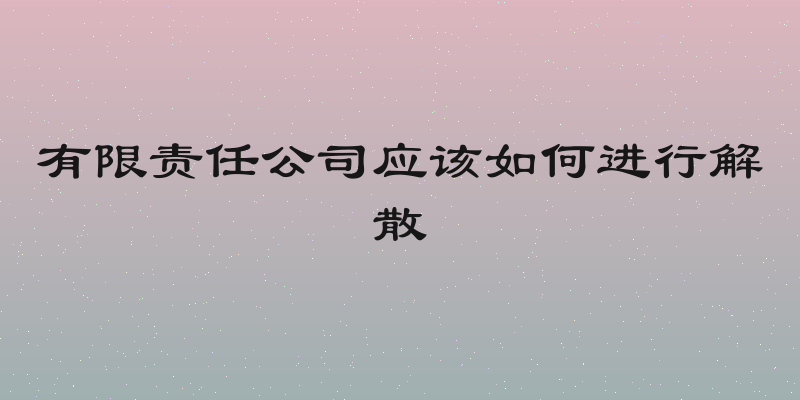 有限责任公司应该如何进行解散