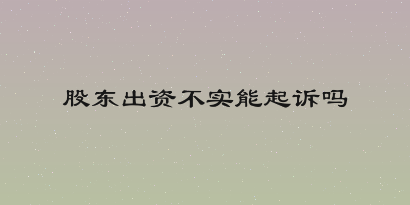 股东出资不实能起诉吗