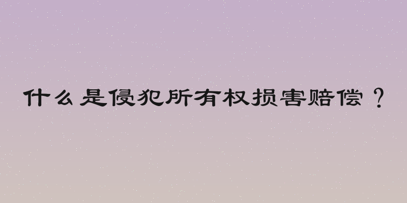 什么是侵犯所有权损害赔偿？