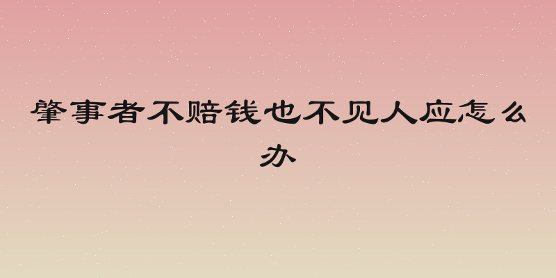 肇事者不赔钱也不见人应怎么办